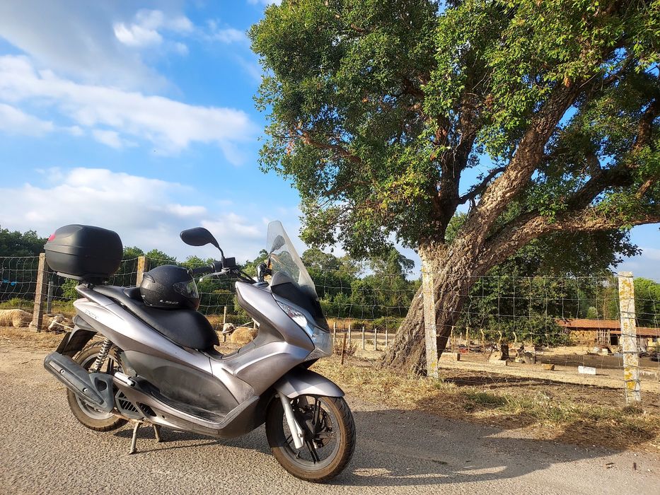 Scooter honda pxc