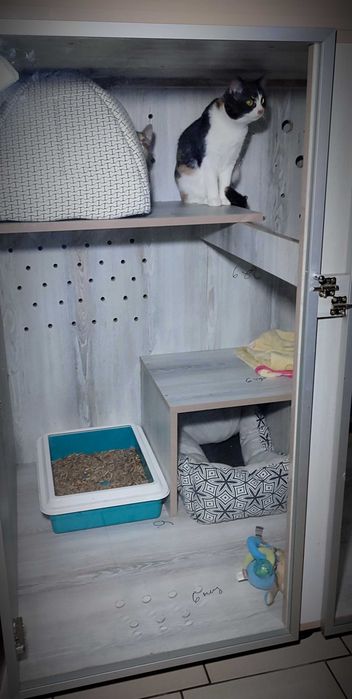 Тимчасова перетримка для котиків