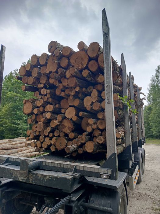 Drewno opałowe kominkowe w wałku 2.5m