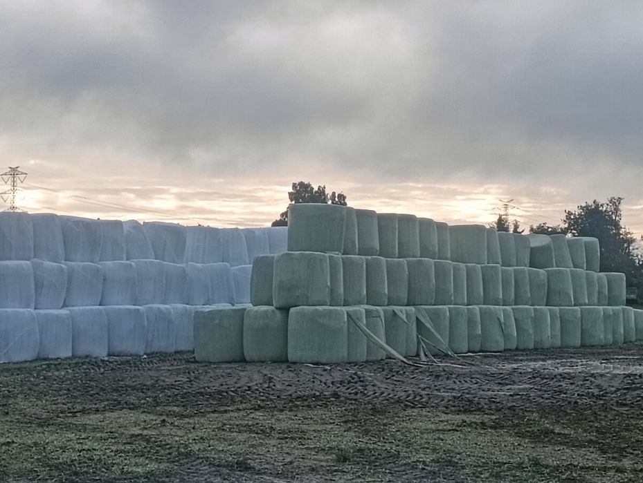 Sianokiszonka 120x125 transport zamiana