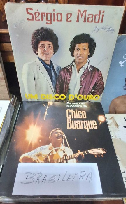 Vários discos de vinil 33 rpm de vários estilos