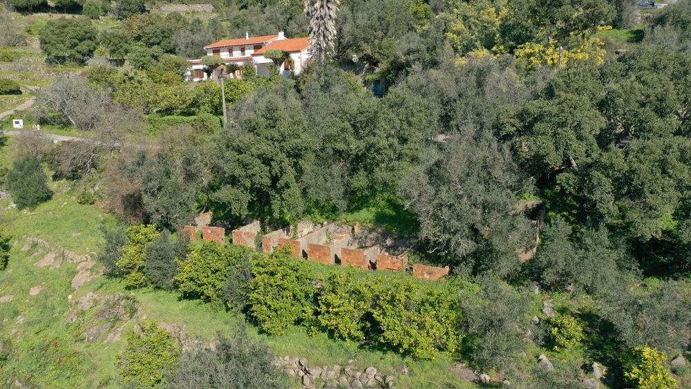 Land for sale in Monchique