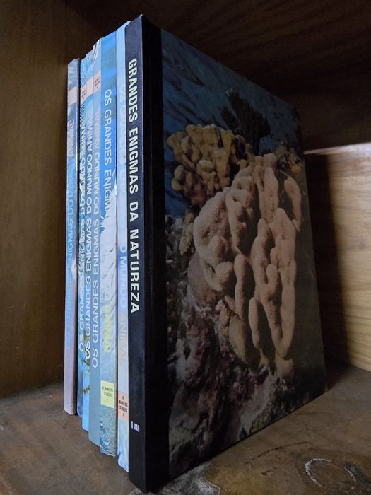 Livros antigos de coleção Os Grandes Enigmas