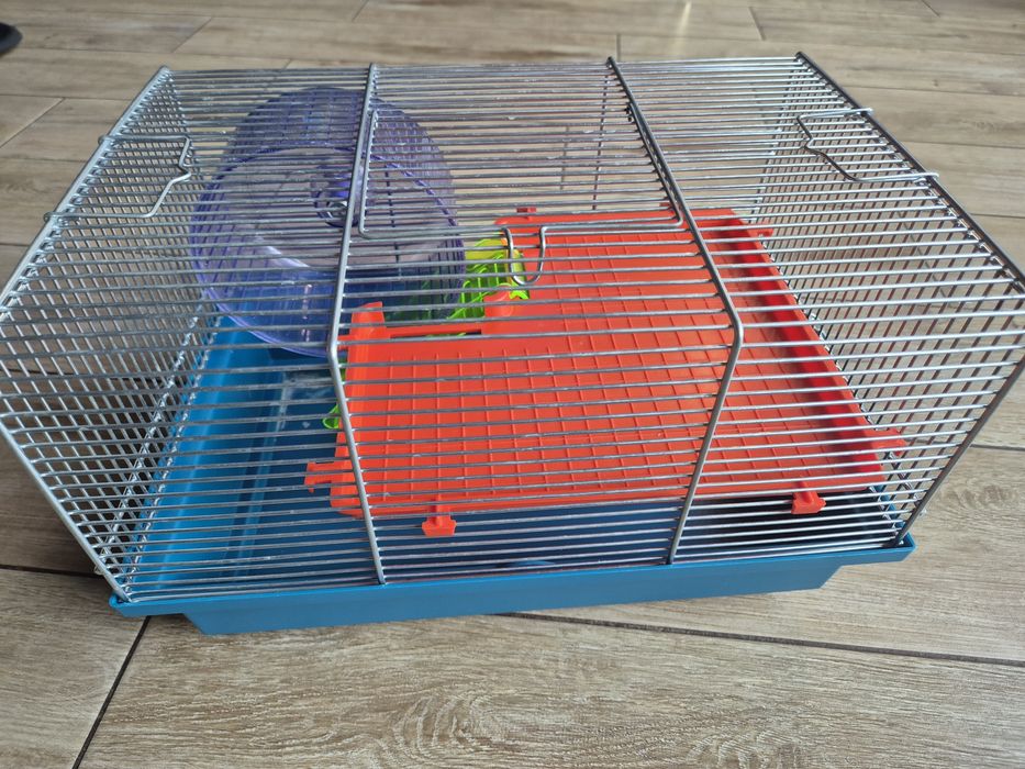 Klatka na chomika, mysz