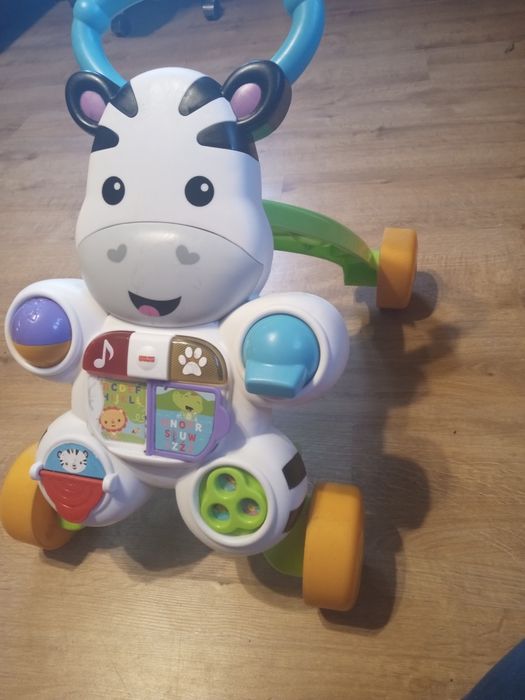 Interaktywny chodzik zebra