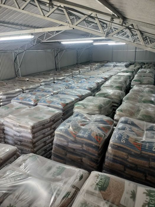 Groszek Bartex GOLD