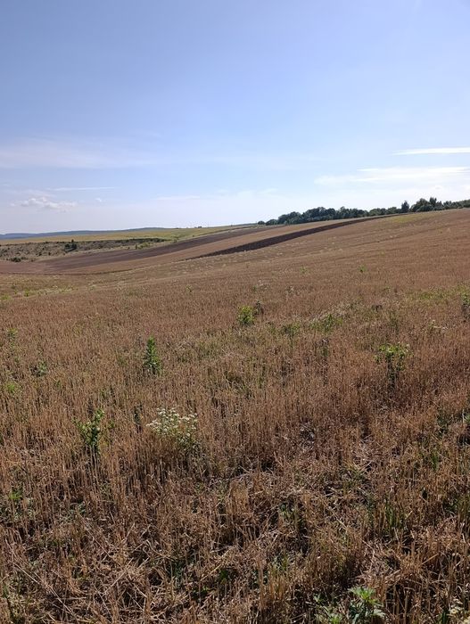 Земельна ділянка с. Стуфчинці