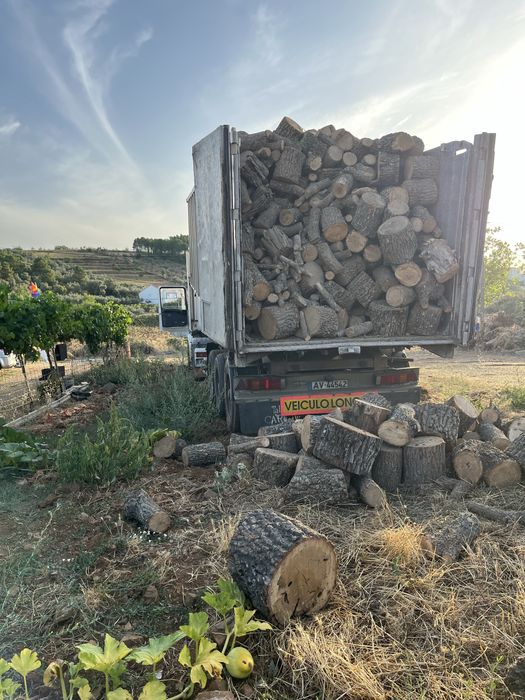 Lenha de carvalho cortada em rolo