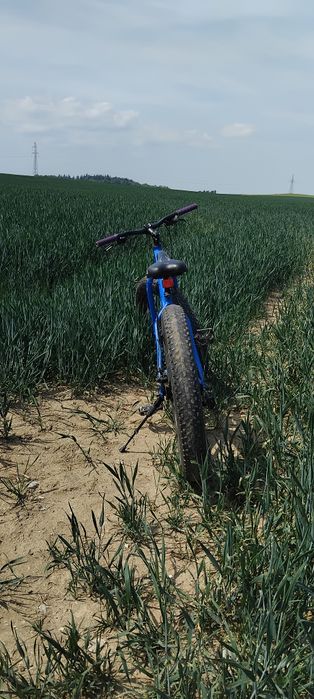 Rower Fatbike 26