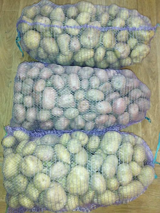 Домашня картопля, з доставкою безкоштовною