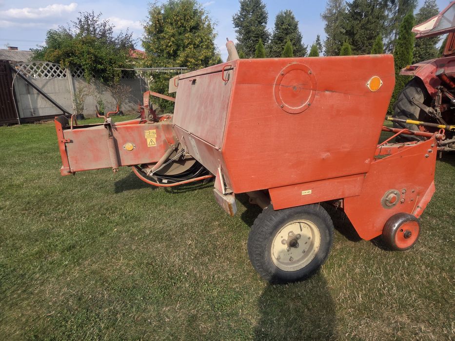 Sprzedam Prase SIPMA 224