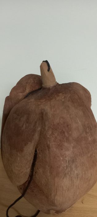 Garrafa feita de casca de coco