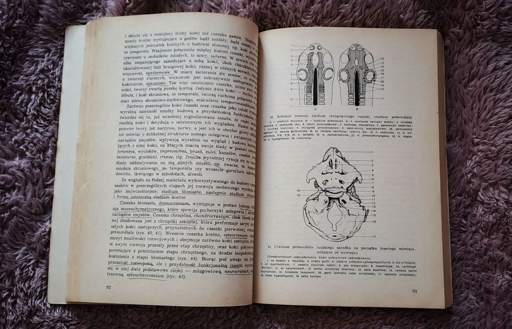 Anatomia zwierząt Krysiak komplet