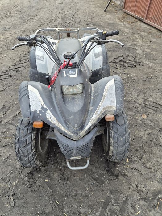 Cobra Moto