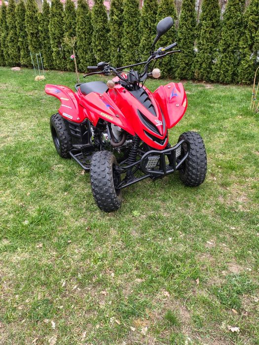 Quad 250  na wale Kardana.