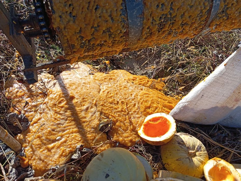 Гарбузовий комбайн (міні)