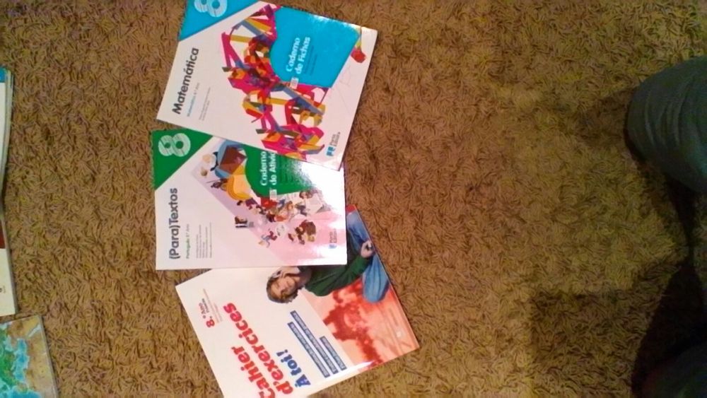 Livros escolares 8°ano de actividades