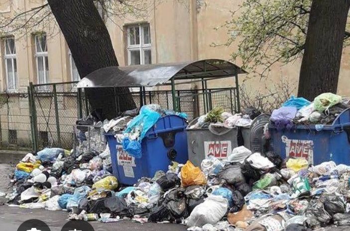 Вывоз мусора недорого без посредников