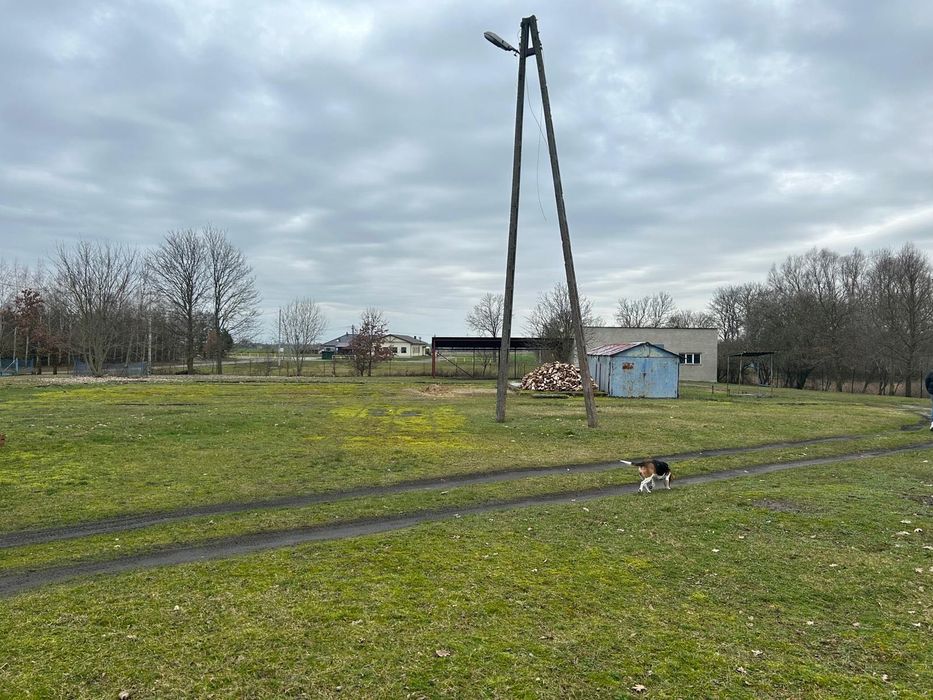 Plac 4900 m2 + Hala + Wiata - WYNAJEM DLA FIRM