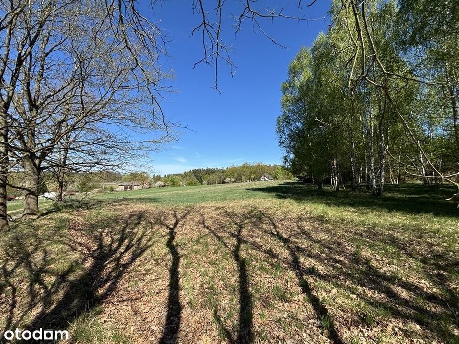 Działki budowlane przy ścianie lasu - Widok 3