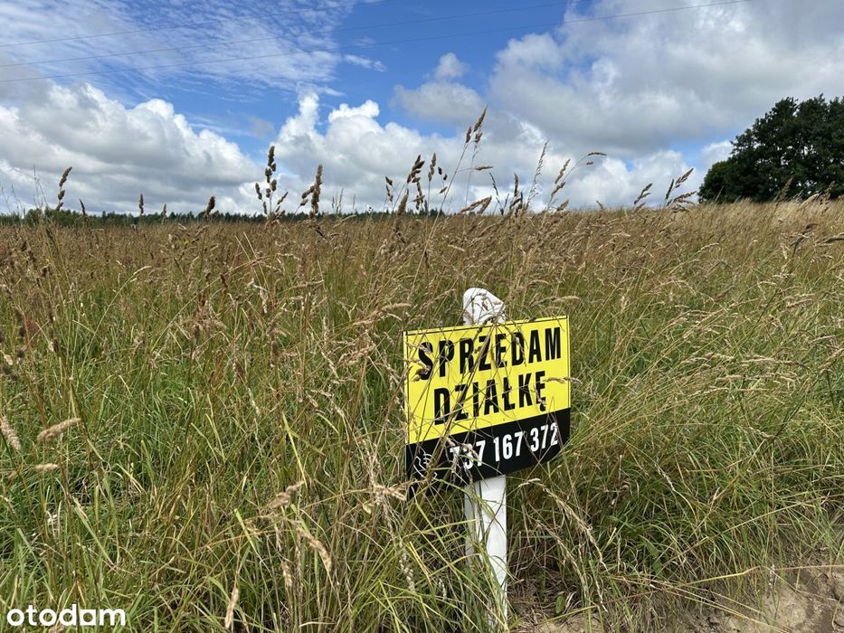 Działki Grabowiec gm.Szemud z wydanymi WZ
