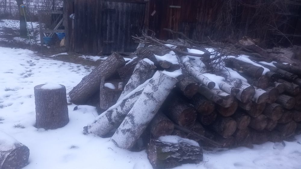 Drewno opalowe olcha