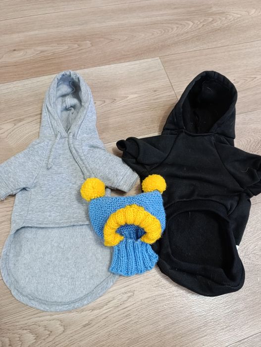 Одяг для чіхуахуа