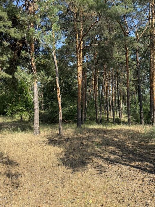 Продаж приватизованої земельної ділянки в с. Слобода.