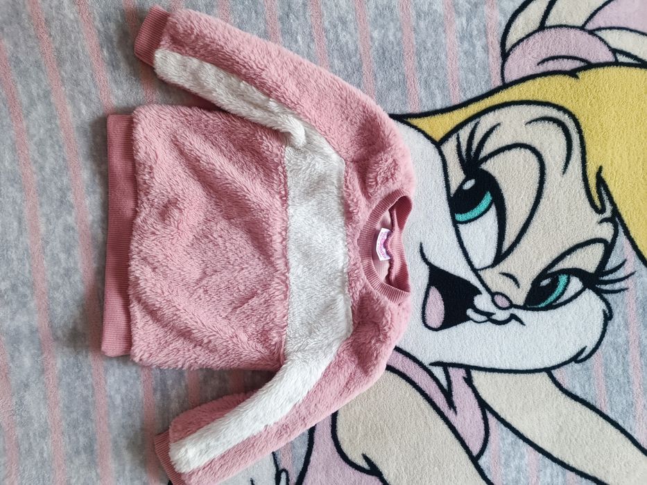 Bluza,  misiu 80