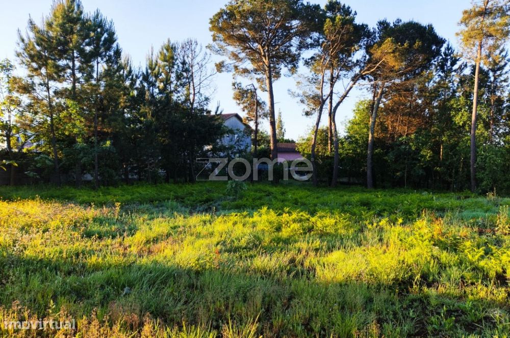 Terreno Urbanizável Vila Chã de Sá