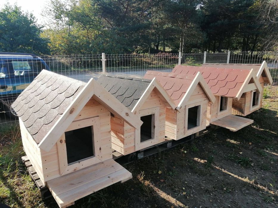 Sprzedam budy dla piesków