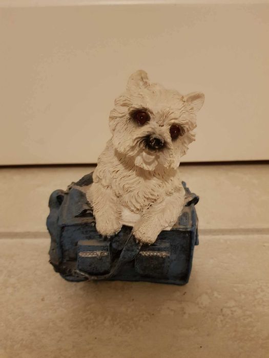 Skarbonka w kształcie psa