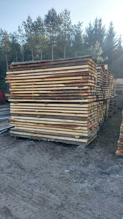 Tarcica Dębowa Dąb 50