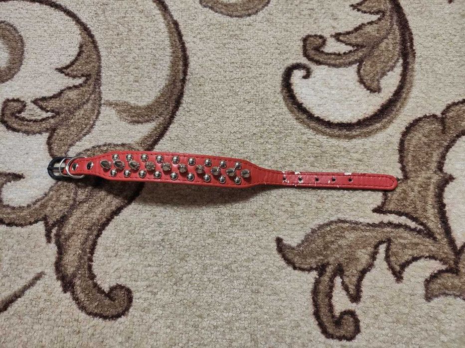 Нашийник для собак з металевими шипами