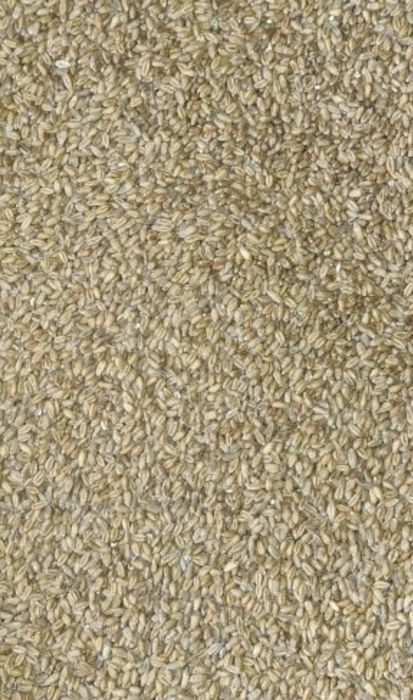 Sprzedam pszenicę ok.3ton.