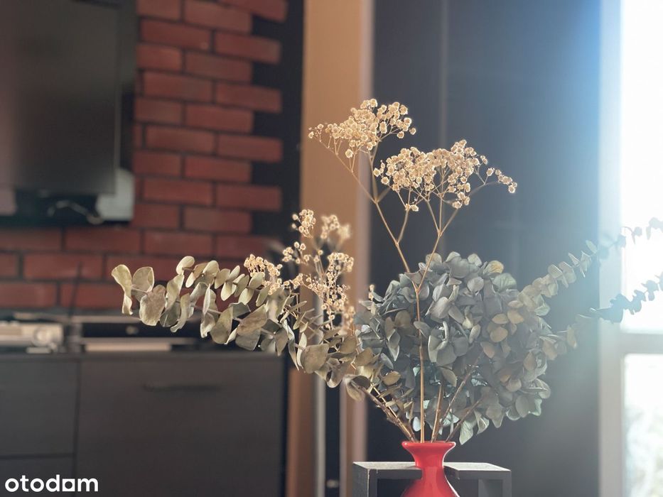 Apartment in Bydgoszcz, Kujawskie Przedmieście, Bielice - Widok 5