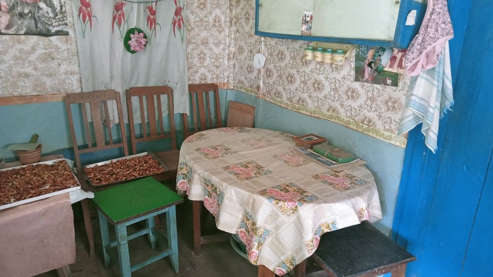 Простора садиба 0,5га (50сот.)біля  Брусилова (с.Ковганівка). Власник.