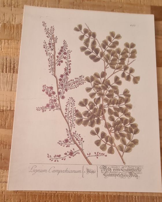 Vendo conjunto de gravuras.