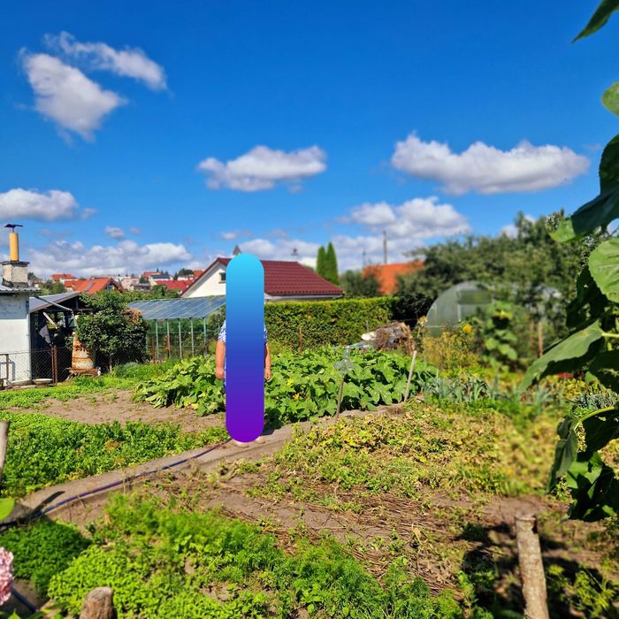 Piękna, rodzinna działka ROD 457 m² - Widok 3