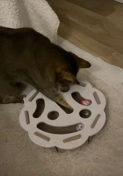 Іграшка для котів