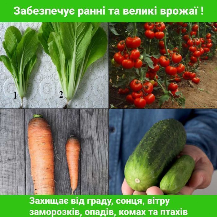 Теплица, теплиця 3х10 3х8 3х6 4х6 + ГАРАНТИЯ 10 ЛЕТ