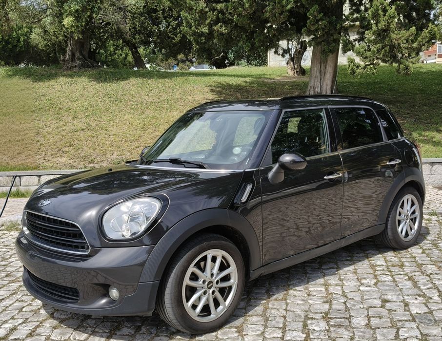 Countryman One D