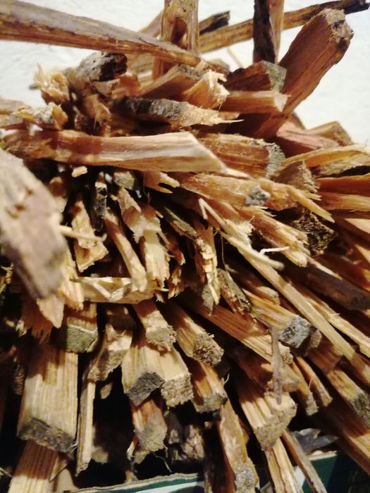 Rozpałka - smolak z drewna sosnowego