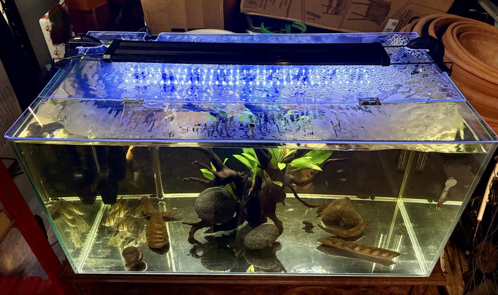 Aquário 250 Litros Equipado