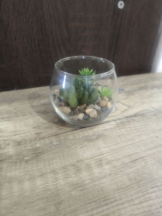 Sztuczne sukulenty w szklance