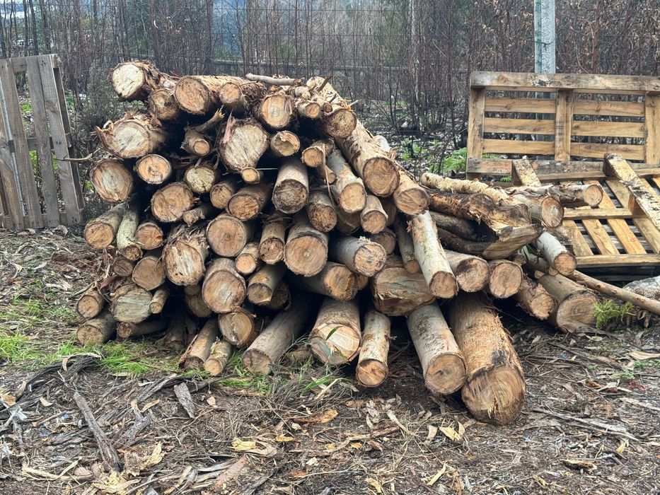 Lenha para aquecimento