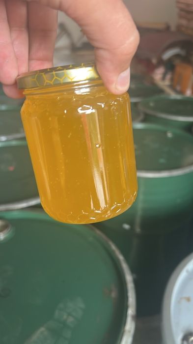 Naturalny Miód Lipowy w beczkach