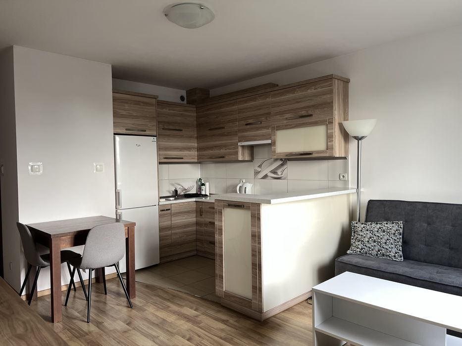 Mieszkanie 41 m² blisko Ronda Wiatraczna - Widok 2