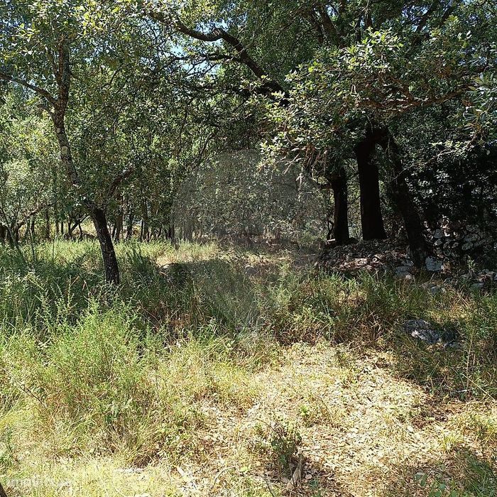 Terreno  para venda
