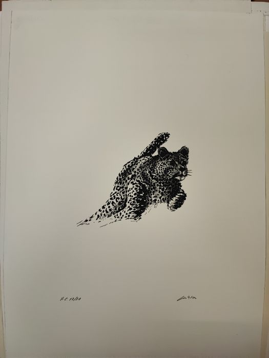 Serigrafias Joaquim Canotilho